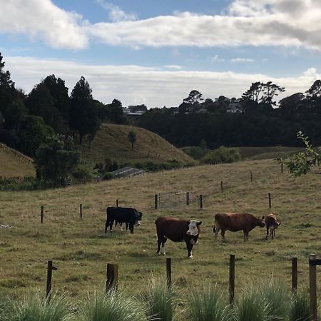 Pukeko Lodge Bnb New Plymouth Exterior photo